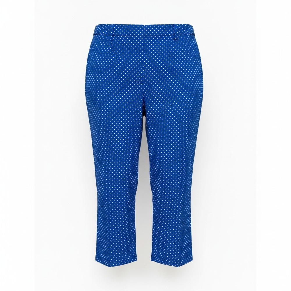 Talbots Hampshire Curvy Polka Dot Pants Women 22W Blue White Stretch Minimalist
